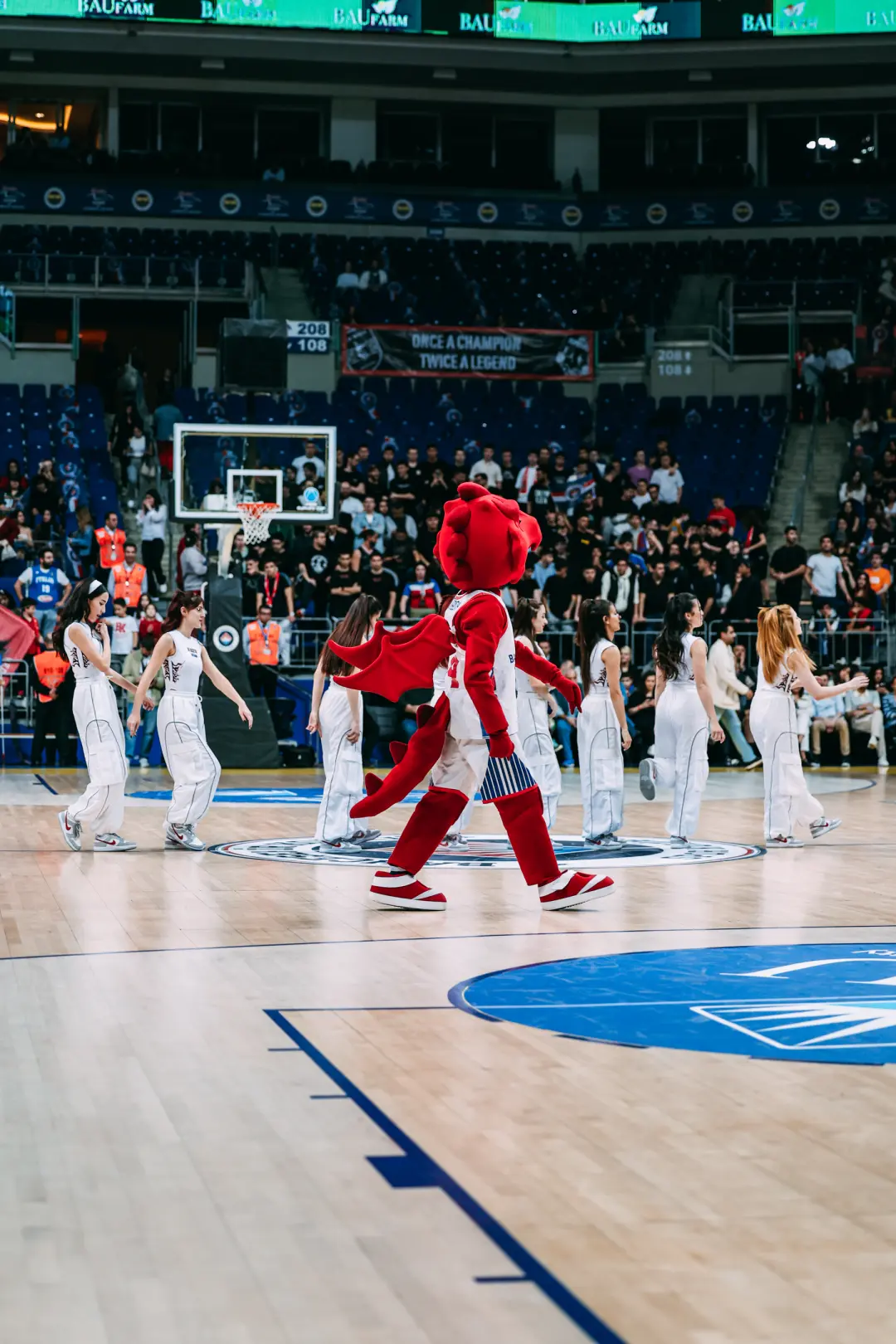 FIBA EUROPE CUP | Yarı Final | 2. Maç | Bahçeşehir Koleji - Itelyum Varese