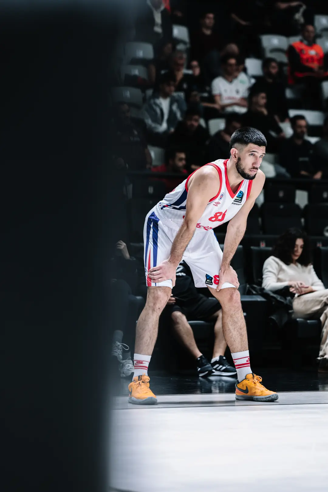 BKT EUROCUP | A Grubu | 11. Hafta | Beşiktaş Fibabanka - Bahçeşehir Koleji