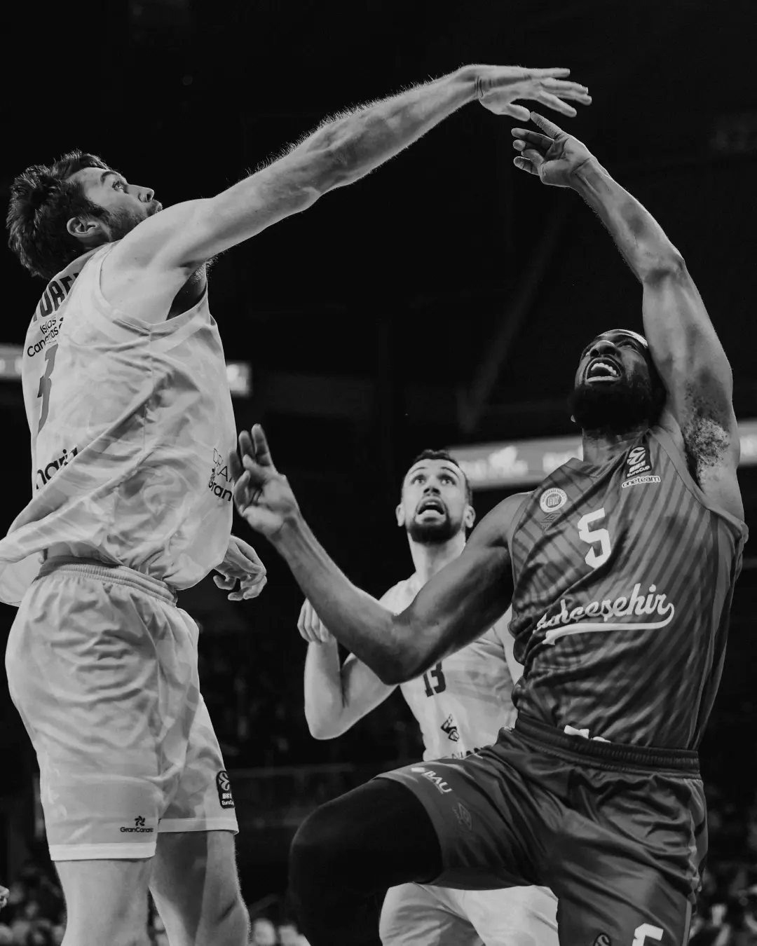 BKT EUROCUP | A Grubu | 12. Hafta | Bahçeşehir Koleji - Dreamland Gran Canaria